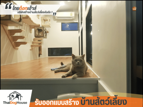 บริษัทรับสร้างบ้านน้องแมว จาก ไทยด็อกเฮ้าส์
